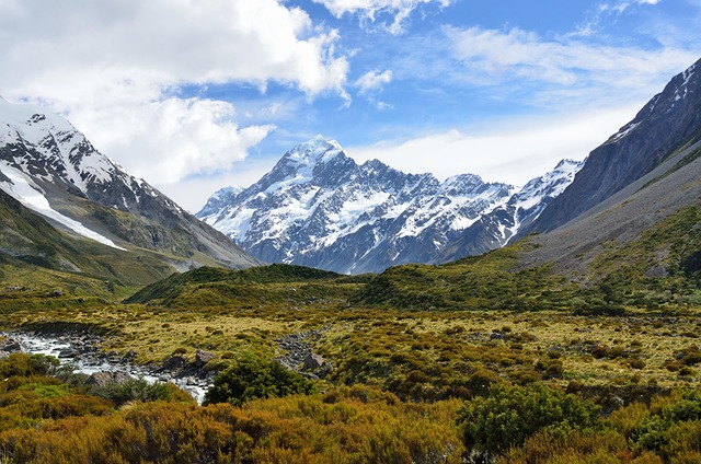 A classification of New Zealand terrestrial ecosystems
