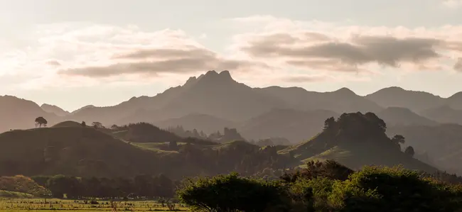 Waikato Integrated Scenario Explorer
