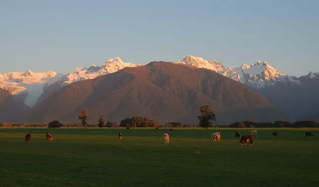 Farm Source guide - Optimise pasture and crop