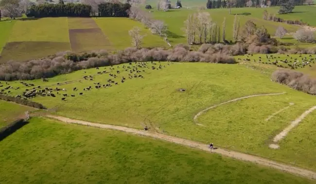 Pete Morgan & Ann Bouma, Te Awamutu