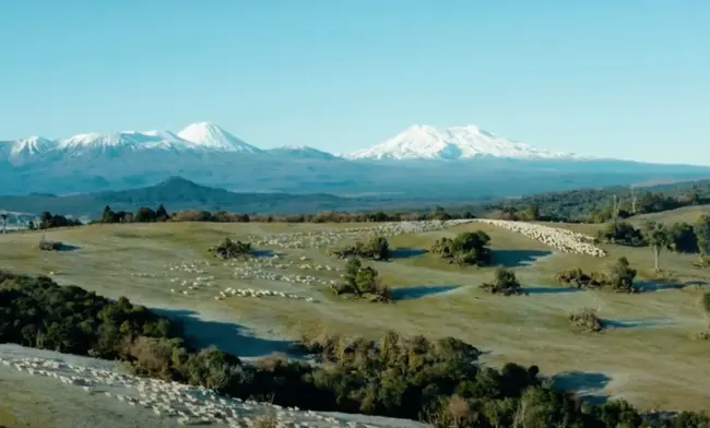 Tuatahi Farming Partnership, Pukeatua