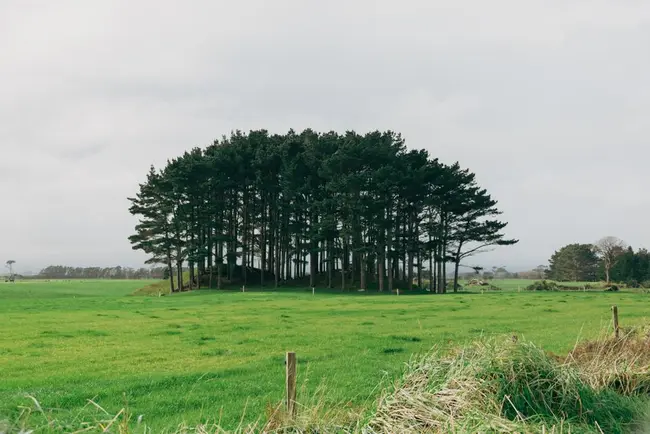 Owl Farm case study - Heat stress management