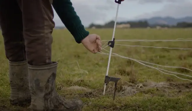 A flexible farm is a more resilient farm