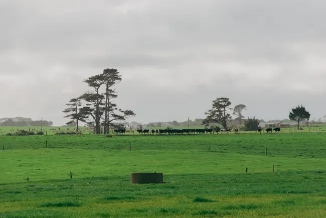Farm Source guide - Optimise nitrogen fertiliser