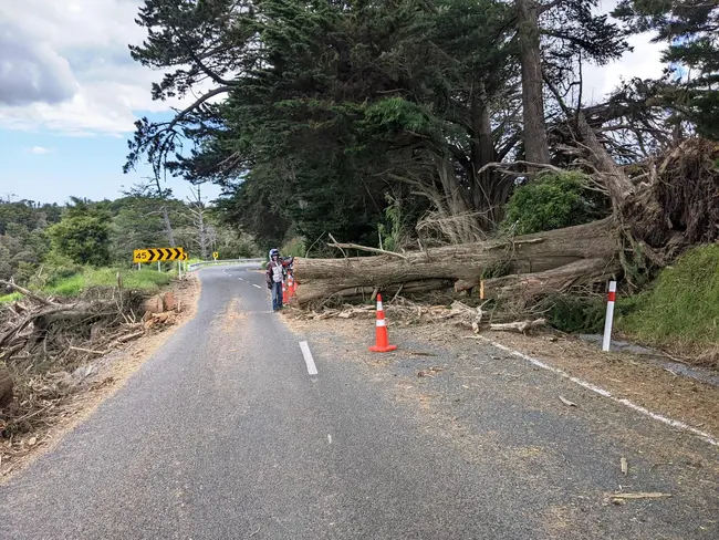 Māori frameworks needed to recloak the whenua