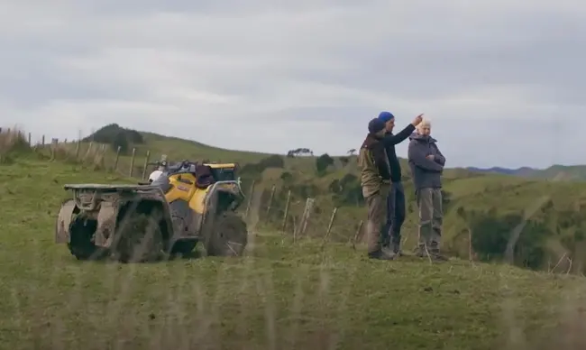 Diversifying for Better Performance and Fewer Emissions