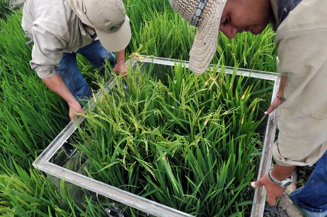 Greenhouse gas research gear for farm researchers