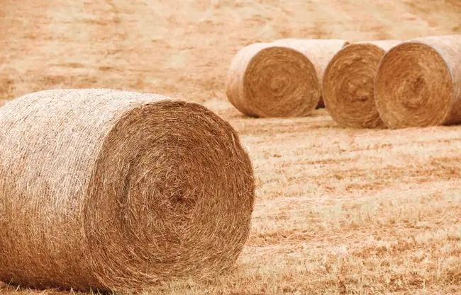 Farm Source guide - Imported feed
