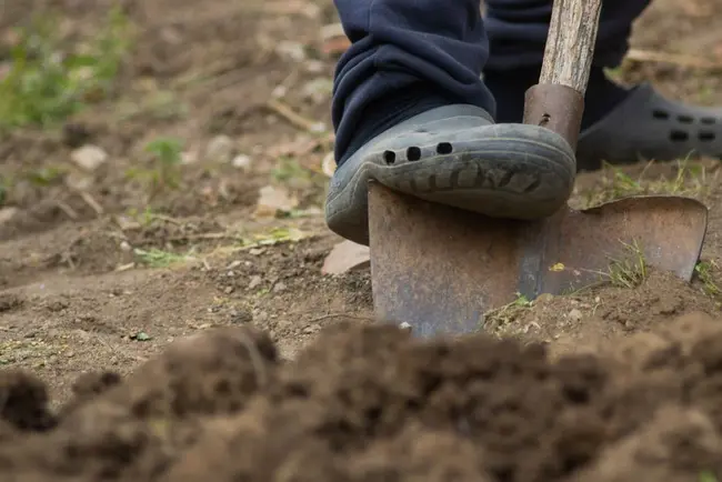 Transforming Soil Legacies